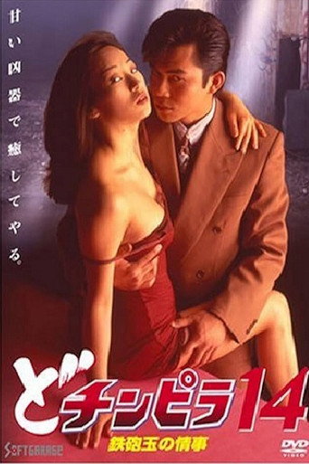 Dochinpira 14: A Hitman's Affair
