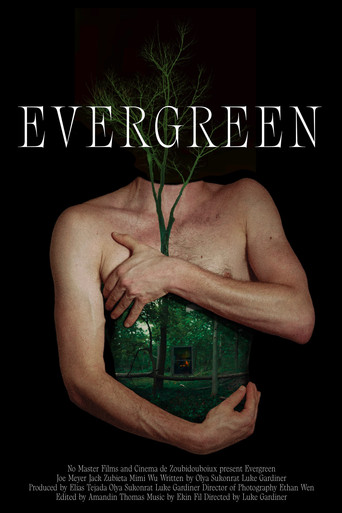 Evergreen