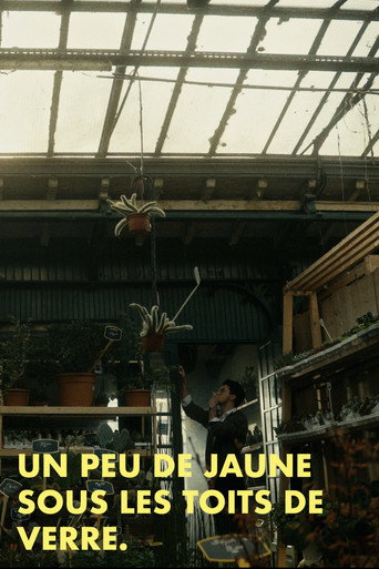 Un peu de jaune sous les toits de verre