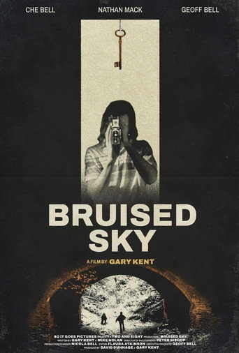 Bruised Sky