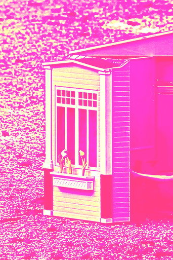 FLESH-FICTION