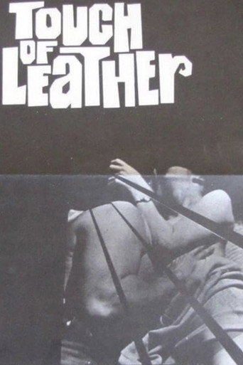 Touch Of Leather