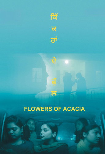 Flowers of Acacia