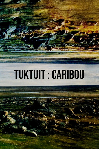 Tuktuit: Caribou