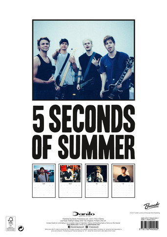 5 Seconds of Summer - Rock in Rio Ao Vivo