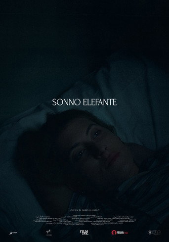 Sonno Elefante