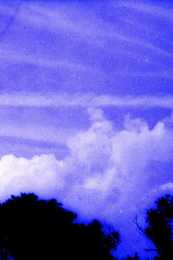 Anomalies in a Landscape