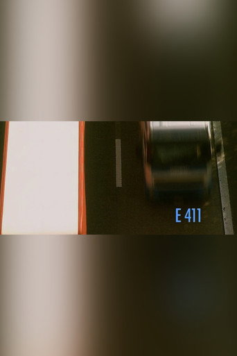 E411