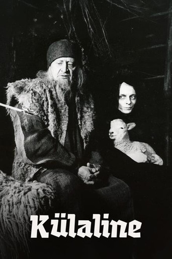 The Visitor
