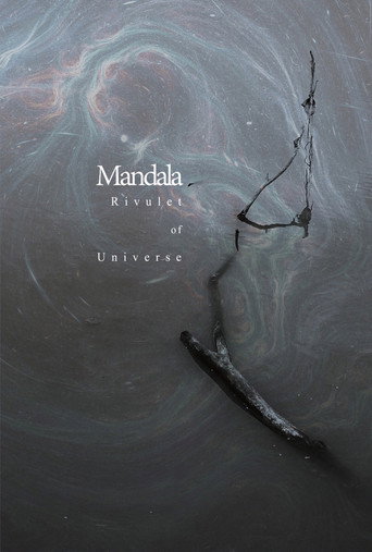 Rivulet of Universe