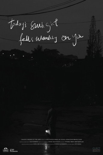 Today's Sunlight Falls Weakly on You