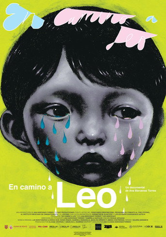 On The Path To Leo