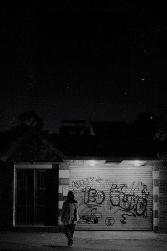 Birds sing at night